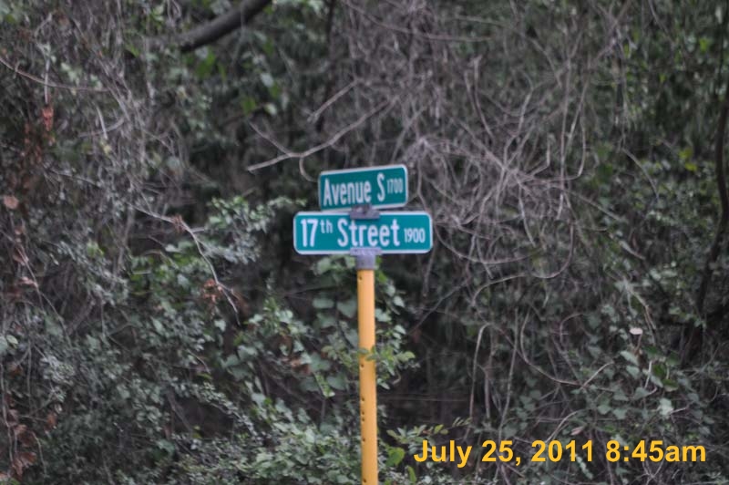 Entergy 008